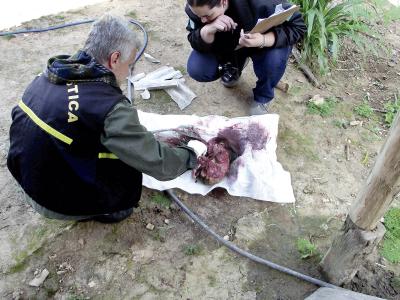 Mulher dá à luz e  admite ter matado filho