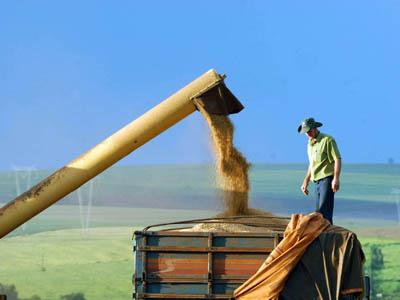 Agricultura