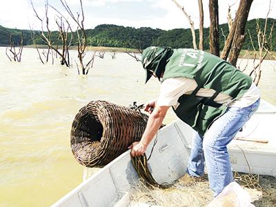 Restrição à pesca de espécies nativas começa neste sábado