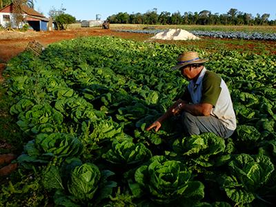 Agricultura Familiar