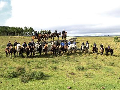 Clube do Cavalo