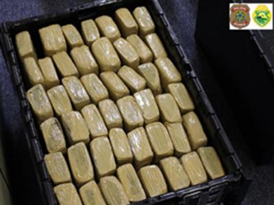 Força Tarefa prende homem com 185 kg de maconha 