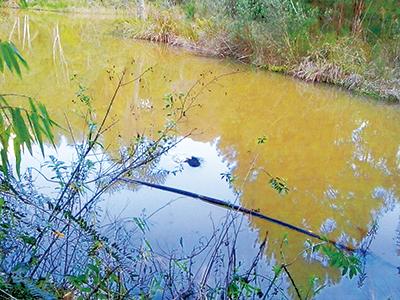 Mulher encontrada morta dentro de rio no interior