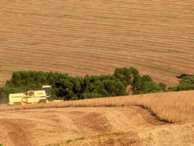 Agricultura