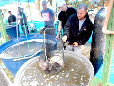 Feira do Peixe Vivo começou hoje