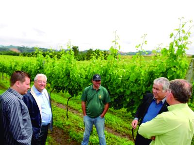 Turismo em Campo Largo