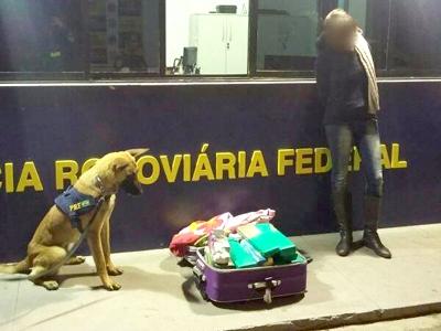 Com ajuda de cão farejador, PRF prende mulher com 29 quilos de maconha