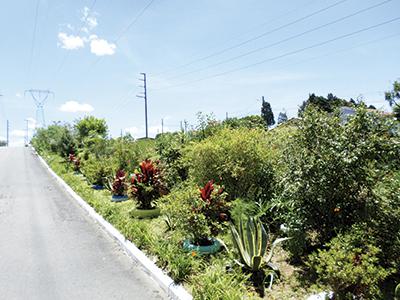 Avenida das Torres