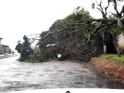 Temporal assusta e causa estragos em vários bairros