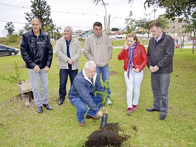 Parque da Lagoa recebe mudas de araucárias