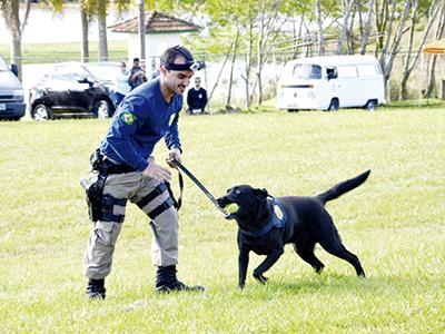 Cães policiais