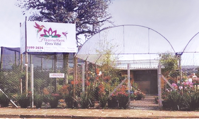 Experiência em paisagismo e variedade de plantas na Floricultura Flora Vidal