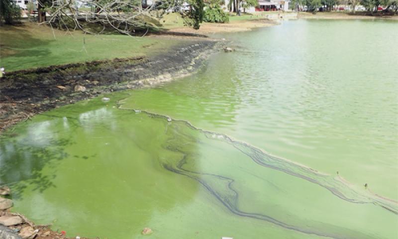 Moradores e usuários do Parque da Lagoa denunciam poluição