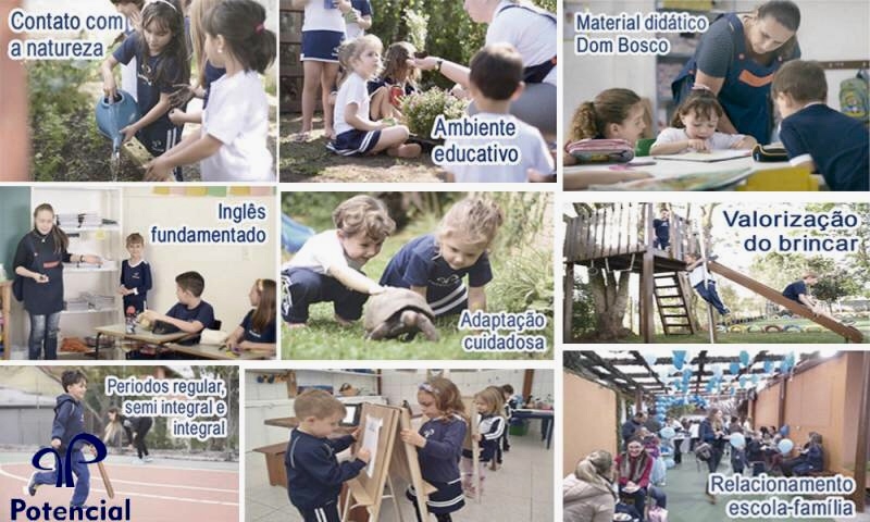 Nova Organização Pedagógica Potencial para o próximo ano