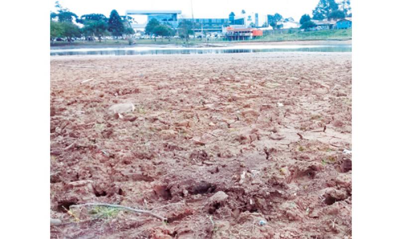 Paisagem começa a mudar com a falta de chuva