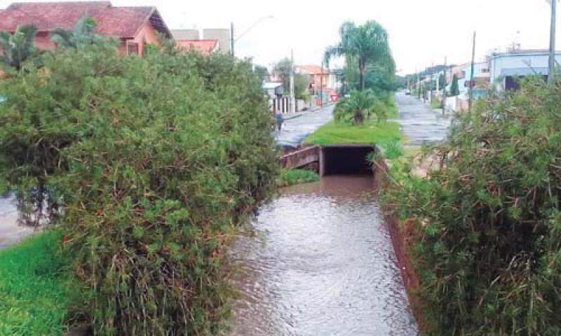 Águas do Rio Cambuí são monitoradas por programa do SOS Mata Atlântica