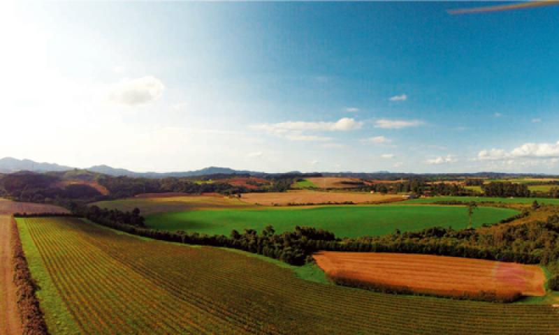 Vinícola de Campo Largo recebe prêmio do Concurso Mundial de Bruxelas/Brasil