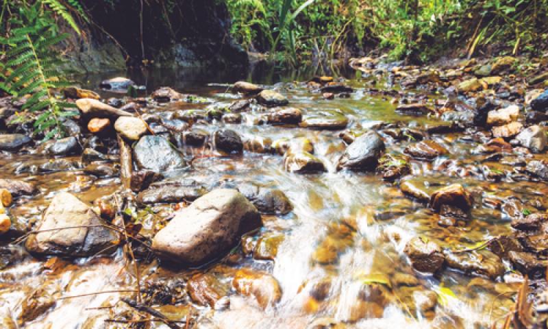 FCA Planta Motores Campo Largo é referência em preservação ambiental