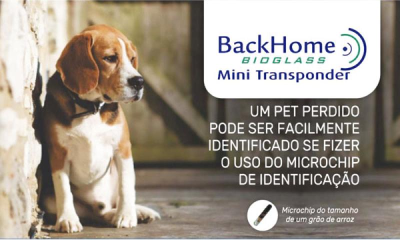 Implantar um microchip é identificar permanentemente seu pet