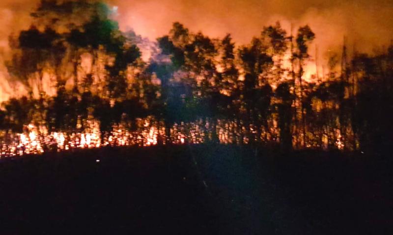 Bombeiros combatem incêndio em vegetação no Bom Jesus