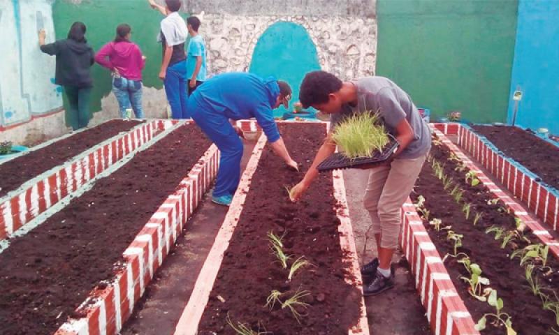 Alunos do terceirão do Colégio 1º Centenário montam horta comunitária