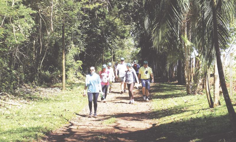 Caminhadas Internacionais na Natureza em Campo Largo e Balsa Nova