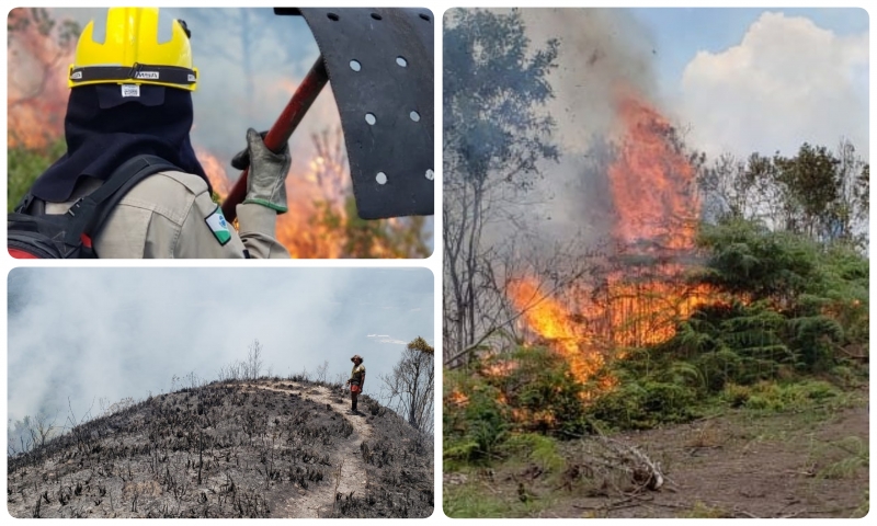 Incêndio consome vegetação no Morro das Endoenças em Bateias