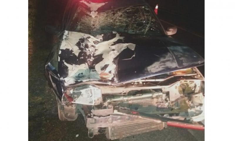 Uma mulher fica ferida em atropelamento de um cavalo na PR 423