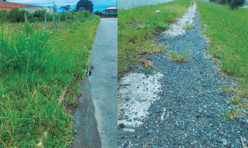 Calçadas cheias de mato e lixo  tornam-se alvo frequente de reclamações