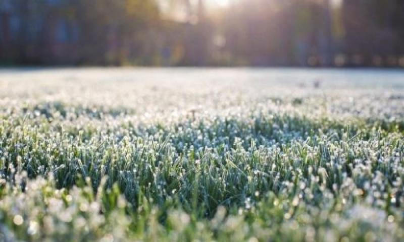 Semana com chuvas intensas, temperaturas baixas e possibilidade de neve no Paraná