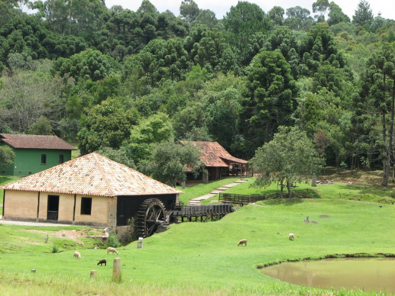 Prefeitura esclarece que acampamento de ciganos no Parque do Mate é legal