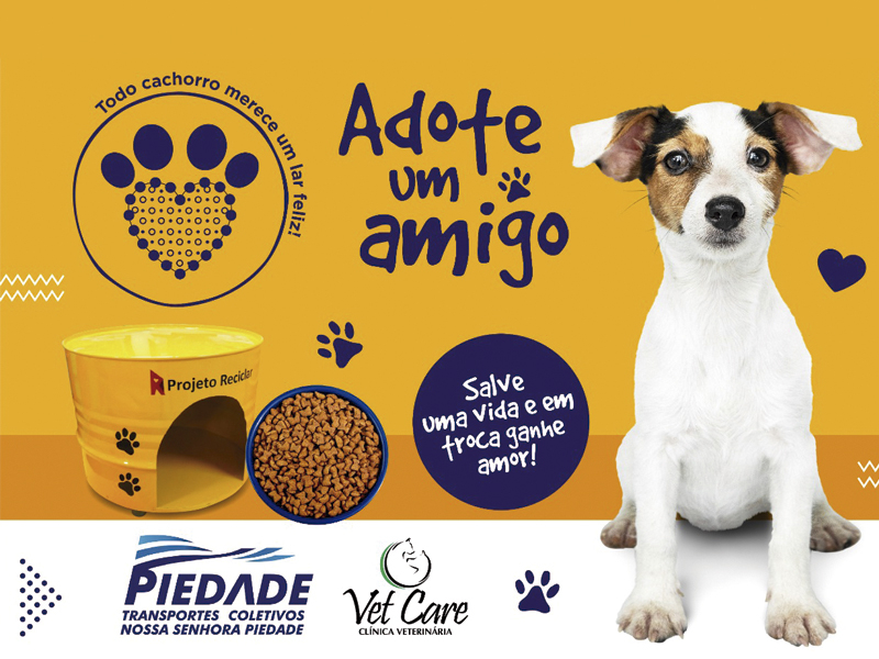 Adote um cão da raça Amor!