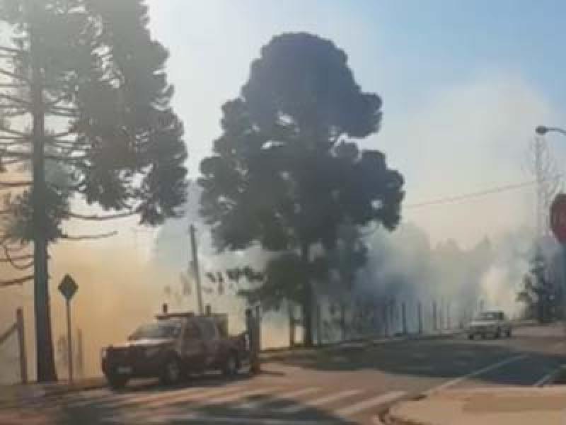 Bombeiros combatem incêndio em vegetação no Itaboa