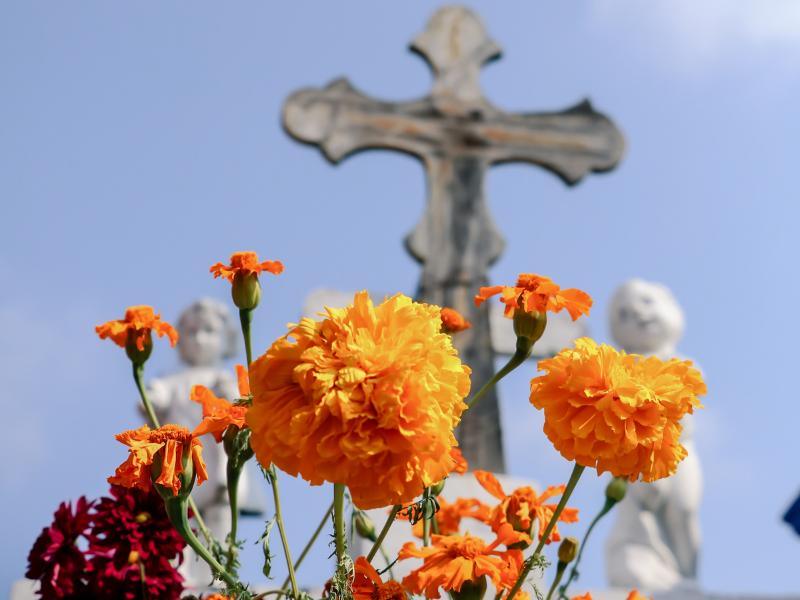 Perder a mãe traz sensação de desamparo, explica psicóloga