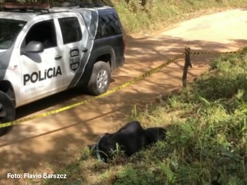 Homem encontrado morto às margens da Estrada do Cerne no Açungui