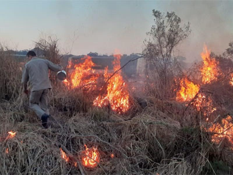 Bombeiros e CCR realizam queimada controlada