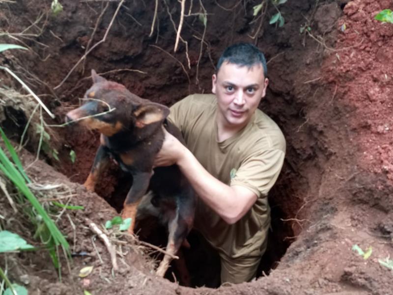 Policiais militares resgatam cachorro de um buraco 