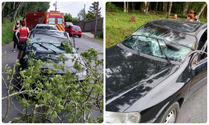 Bombeiros atendem queda de cavalo, árvore sobre carro e queda de andaime em obra 