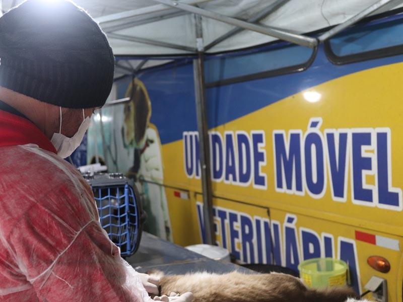 Bom Jesus, Gorski e Meliane são as próximas regiões que receberão projeto para castração de cães e gatos