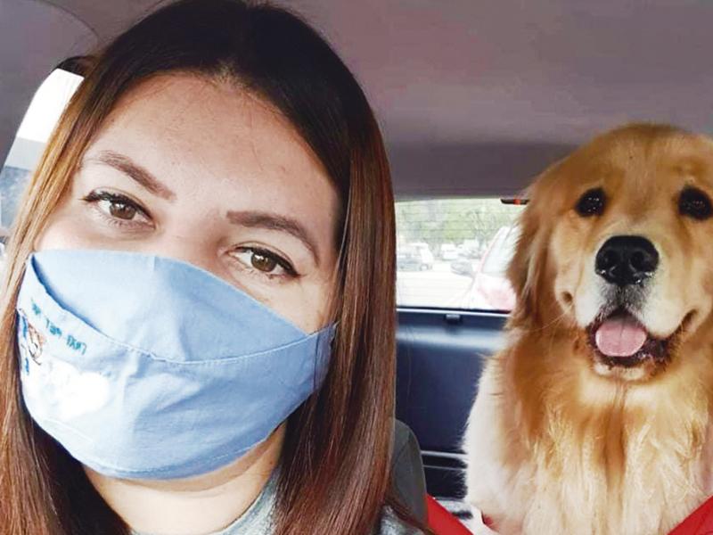 Táxi Pet May transporta animais em segurança até seu destino