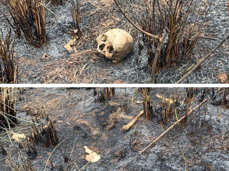 Ossos humanos encontrados em queimada no bairro Rondinha em Campo Largo