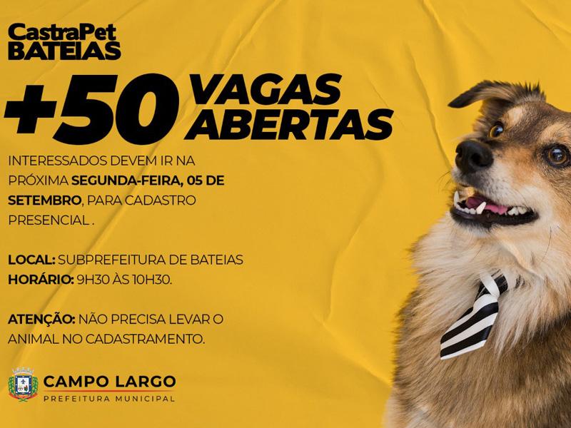  Na segunda-feira (05) projeto Castrapet abre mais 50 cadastros de cães e gatos