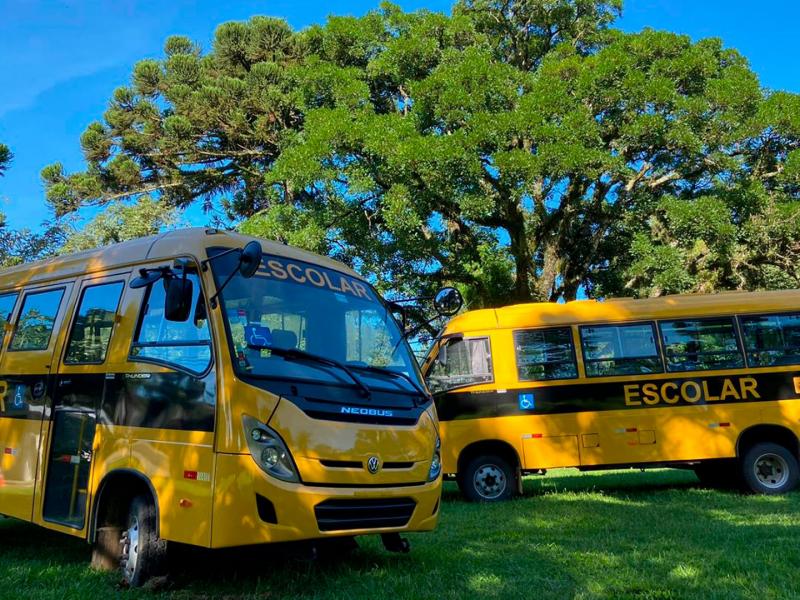 Confira as linhas do transporte escolar