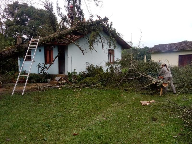 Chuva intensa e vendaval provocam quedas de árvores e uma casa é atingida no Retiro