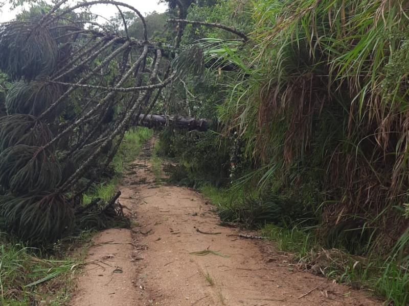 Temporal atinge a região de São Silvestre e causa grandes estragos