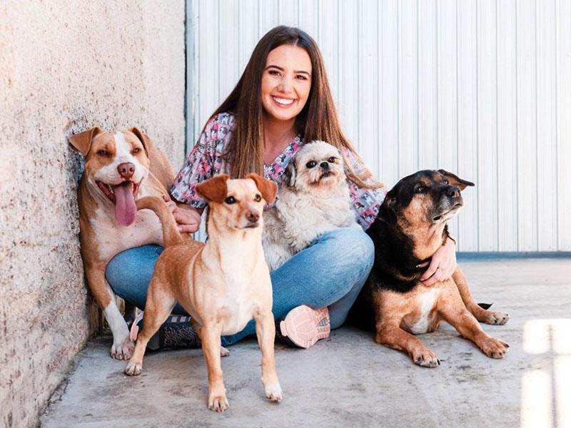 Animais podem ajudar em  diversos tratamentos psicológicos