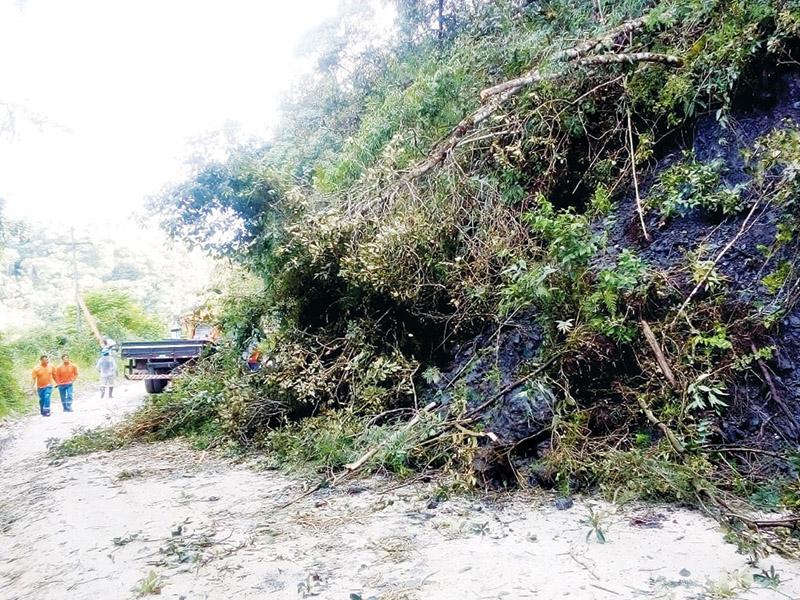 Temporal atípico causa estragos e  prejudica famílias no interior de Campo Largo