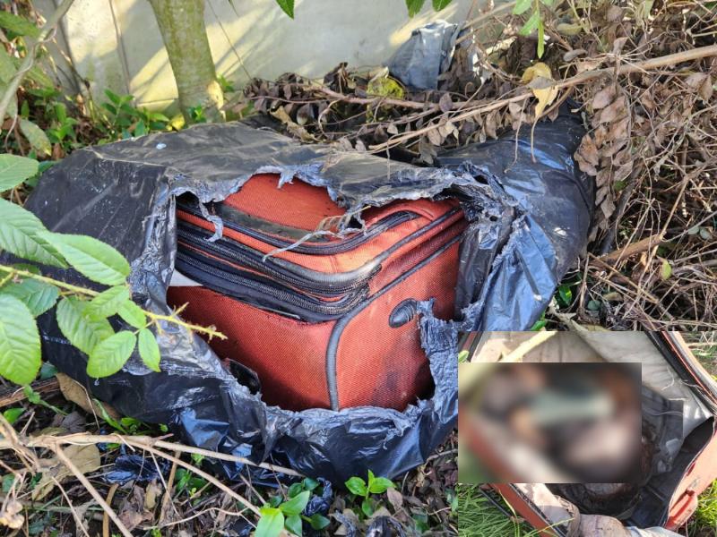 Corpo humano é encontrado dentro de uma mala no Jardim Santa Luzia em Campo Largo 