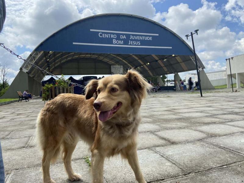 Bom Jesus, Meliane e Gorski recebem o CastraMóvel nesta semana