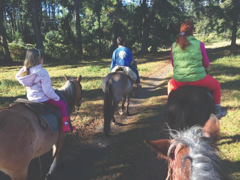 Pousada Parque São Luiz do Purunã é opção de descanso e passeio para o Dia das Mães